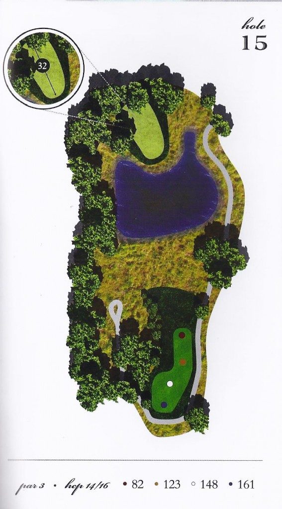 Hole-15-map