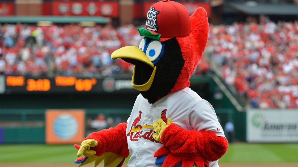 Fredbird, the St. Louis Cardinals mascot, on the field at Busch Stadium during a game.